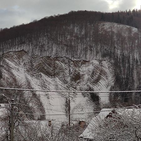 "У Пасічника" Котедж Для Сім'Ї Jaremtsje Buitenkant foto