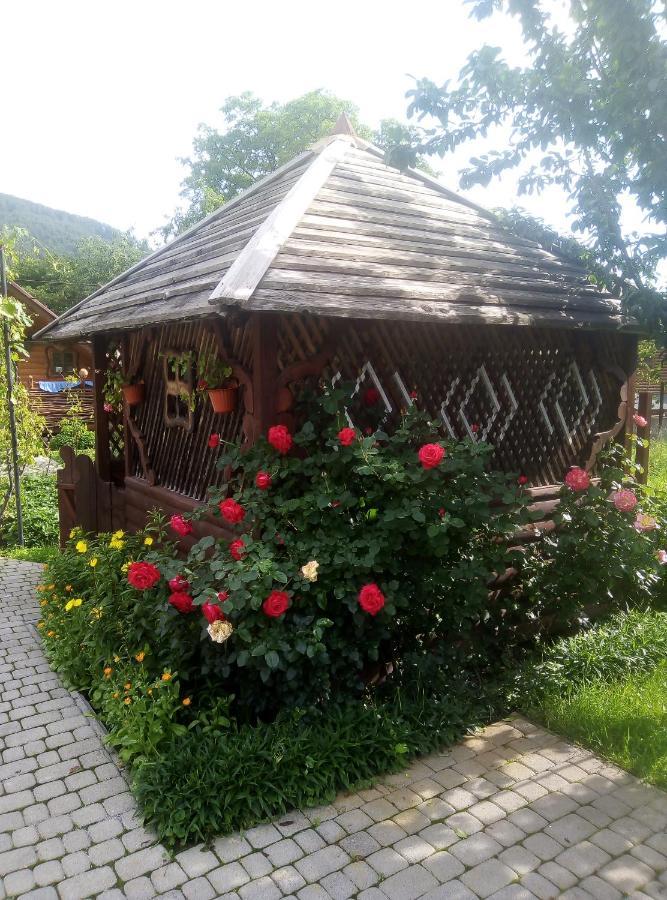 "У Пасічника" Котедж Для Сім'Ї Jaremtsje Buitenkant foto